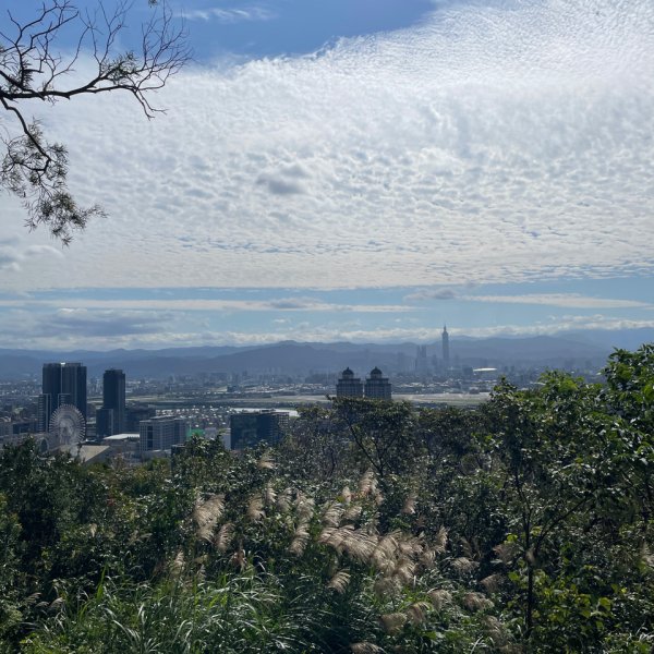20241130 臺北大縱走第五段：捷運劍潭站至碧山巖（小百岳-劍潭山）2969071