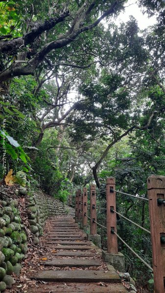 《彰化》古意人文｜員林18觀音O繞大峰巷挑水古道202504122759451