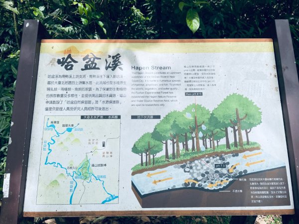 20260727 宜蘭福山植物園3111133
