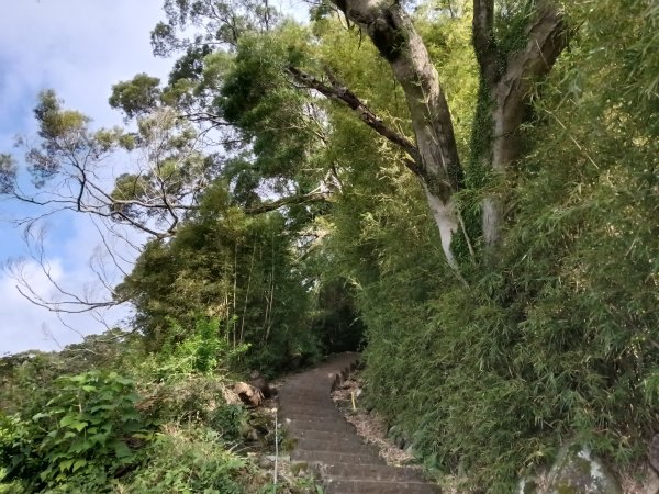 北投區清天宮步道+面天山+向天山+向天池+興福寮步道+頂青礐古道P字走2960023