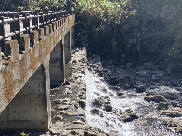 《雪山坑登山步道｜巨人之手森林秘境 Xueshankeng Hiking Trail & Giant2971207