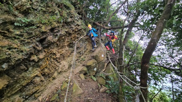 【苗栗郊山聖稜線】仙神象18連峰大縱走2675861