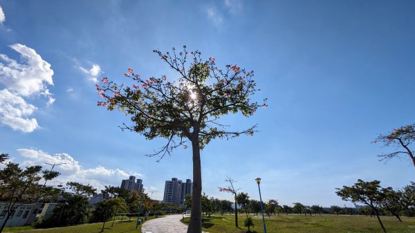 十三行博物館,八里左岸2357635