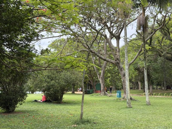 [紐約馬之行-69] 2025_1116 伊比拉布埃拉公園-下2955174