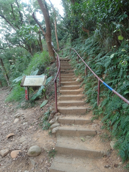 清水岩~中央領~橫山觀日~山湖步道之旅96813