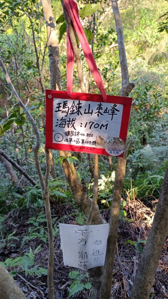 2025-01-12_外木山＿瑪鋉山＿大路嶺古道_O繞2687845