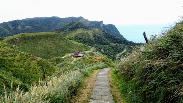 大溪,灣坑頭山,福隆790149