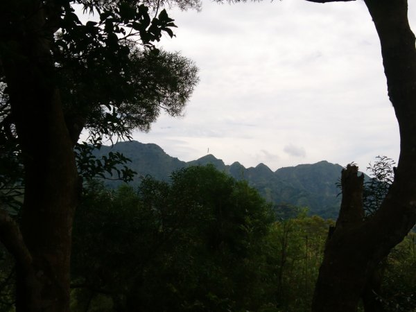 桐林花廊、北坑溪、樟樹林步道-奧山599598