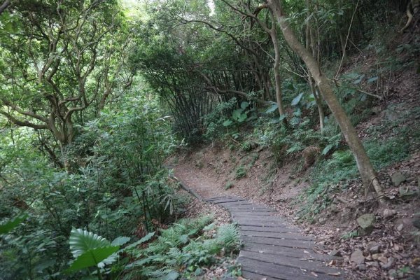 〔北投〕半嶺吊橋 半嶺水圳古道 半嶺瀑布 松溪瀑布。剛完工不久，滿滿森林芬多精的半嶺水圳步道2221076