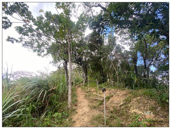 金龍湖、鷹石尖、老鷲尖、內溝山 O型一圈2966621