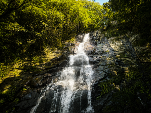 青山瀑布與老梅冷泉