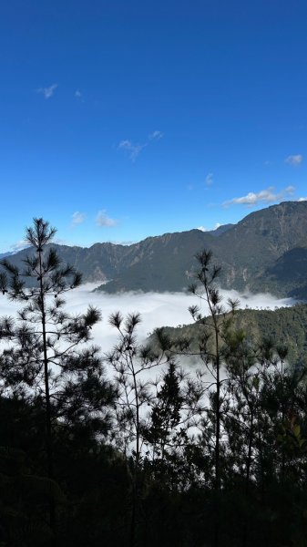 走在浪漫的紅地毯～稍來、烏石坑山2385295