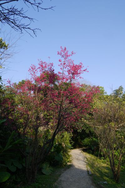 福州山步道270397