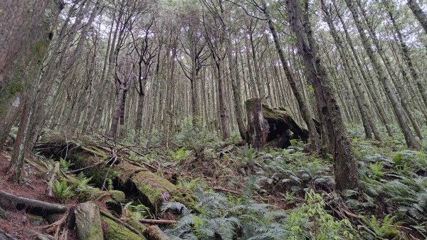 北三錐山3085628