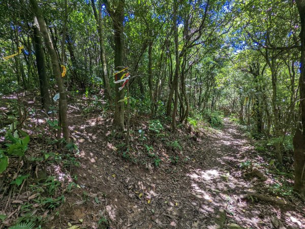 大溝溪生態治水園區。龍船岩。大崙頭山(小百岳)。圓覺瀑布1750727