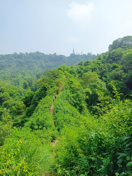 參加八上八下活動彰化挑水古道。二八彎原始步道