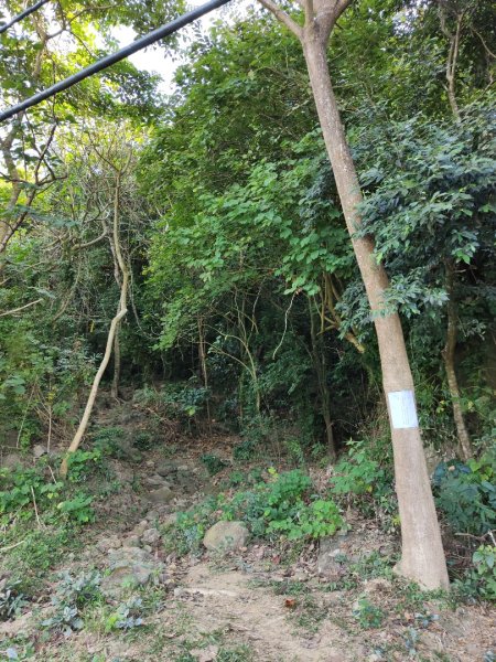 2023.12.24 旗尾山2838035