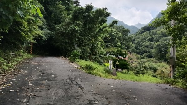 三芝區龜子山橋-三板橋-大屯溪古道(殘念)去回3090819