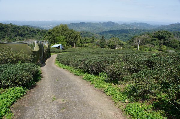 新竹 峨嵋 猿山、六寮山、玖玖山、獅頭山、獅尾山3012148