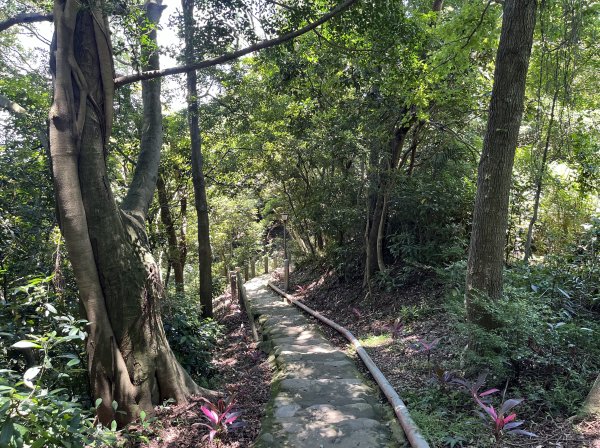 [跟著2025雙北世壯運探索雙北市-7/21] 2025_0615 疾風足球道（輔仁大學－明志路二段2814983