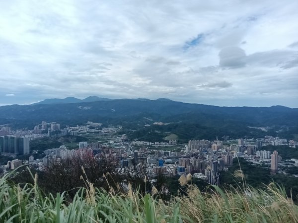 汐止區大尖山櫻花+秀峰瀑布O型3009392