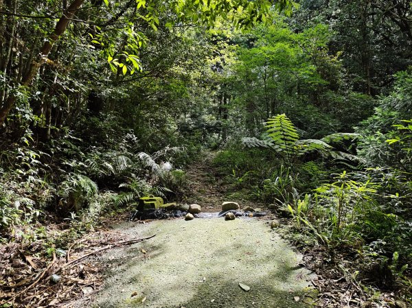 2025_0601 赫威山2802297