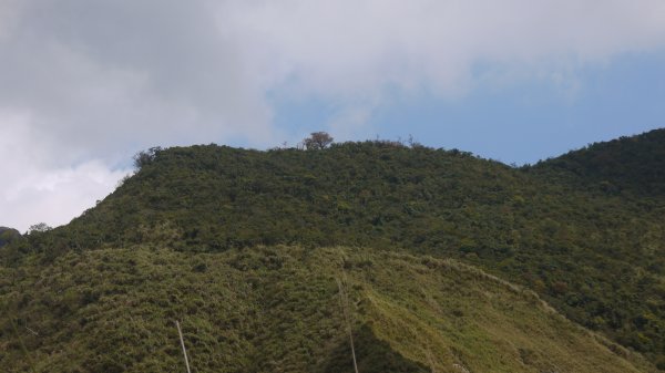 大白山登山健行趣(中級山)1649682