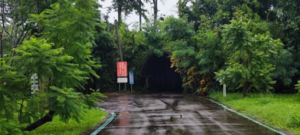 台東．森林公園202508013019153