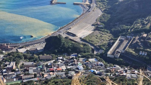 20260115基隆山主東峰2982661