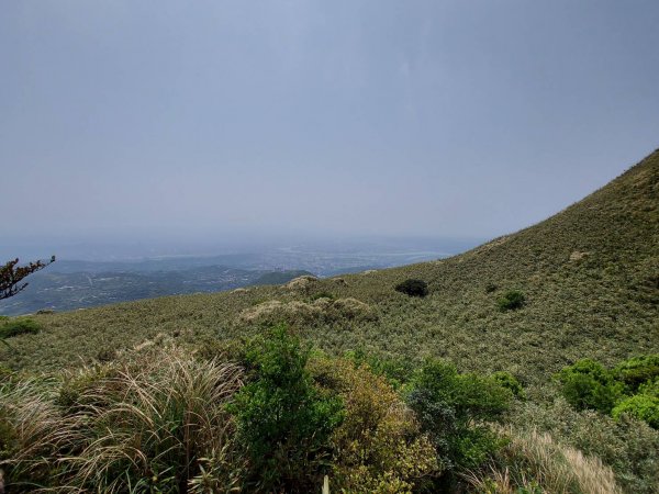 凱達格蘭山-月形池-恐龍接吻石1336598