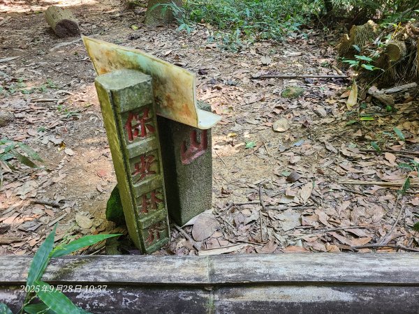 苗栗卓蘭大克山3103163