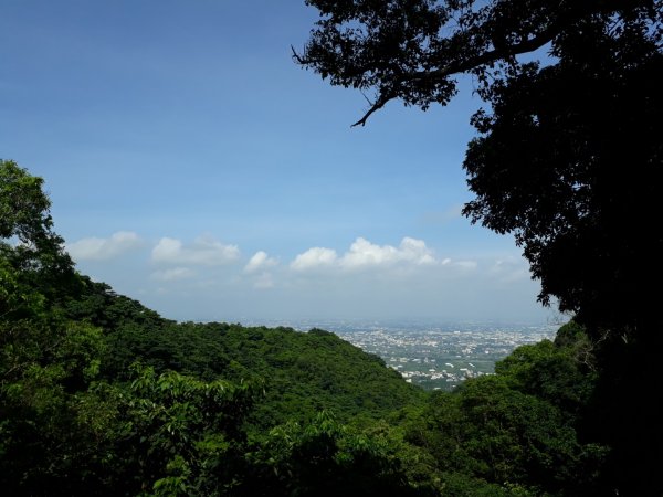 彰化員林臥龍坡環藤山步道20190714629482