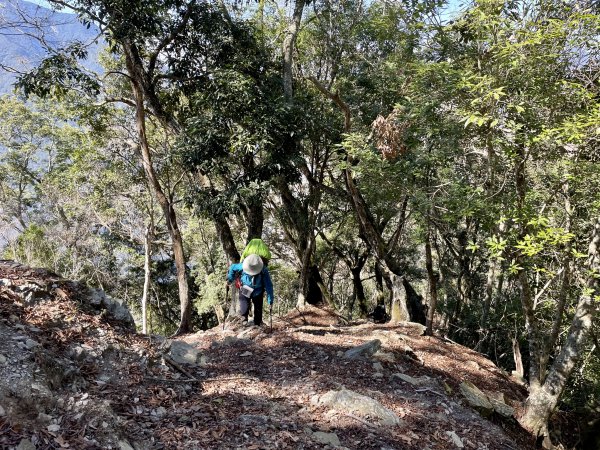 卡社山、拉夫朗山、加年端山 O型縱走 (二)1351285