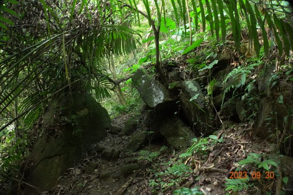 苗栗 大湖 玉女山、金童山、汶水山2301475