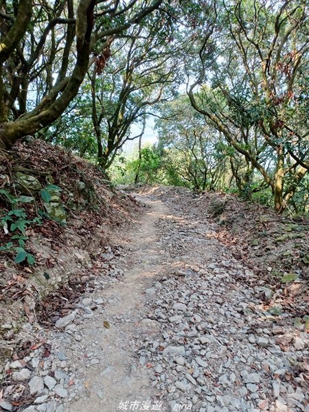 【屏東。高樹】最後三公里的陡上只剩下意志力。  小百岳集起來。 編號73小百岳-尾寮山步道1658568
