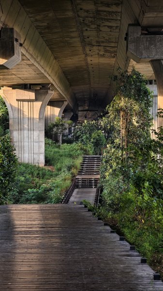 【台灣健行】台中沙鹿地下城2874461