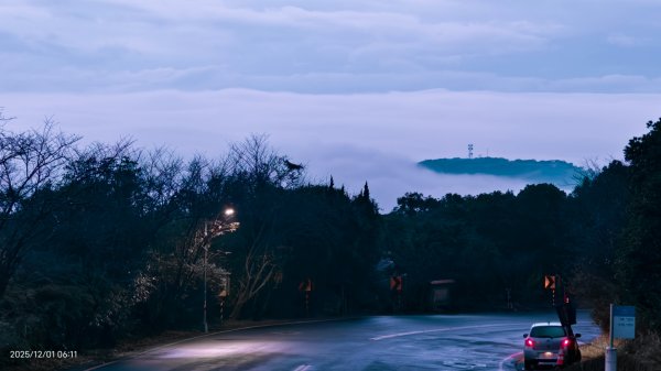 #陽明山 趴趴走12/12950330