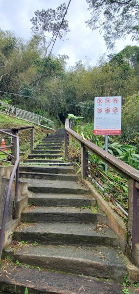 2025-01-19孝子路步道、大巃頂2694241