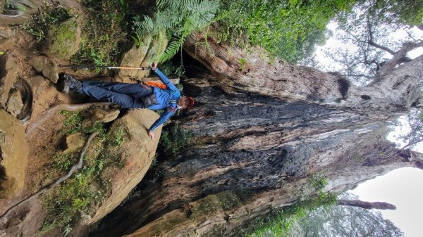 北得拉曼-20204062859832