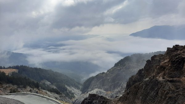 《南投》高山杜鵑盛宴｜哈哈山、石門山北峰202104181353280