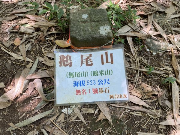 《探訪內雙溪三圳流向｜大崎頭步道 × 鵝尾山》2877205