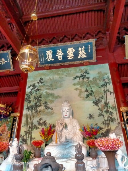 普陀山島：普陀山-紫竹林（觀世音道場）不肯去觀音&南海觀音2820336