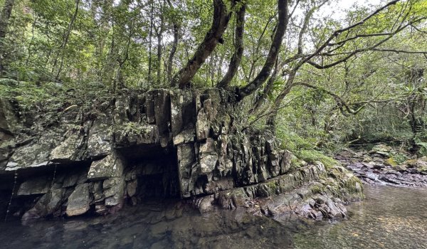 20250708 四堵古道2837760