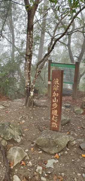 谷關七雄_波津加山 捎來吊橋登山口1958854