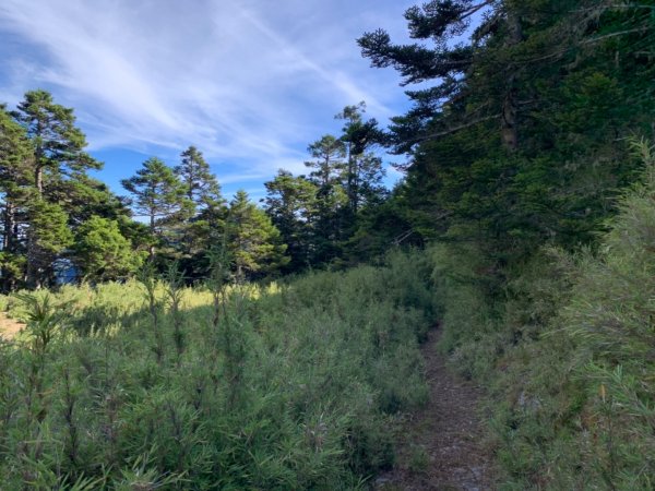 逆走雪山西稜下志佳陽1041398