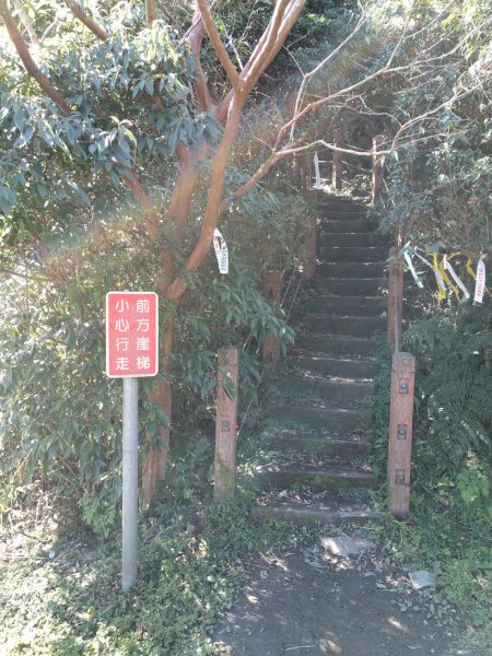 【小百岳20】獅仔頭山完成-141243450