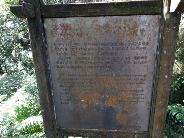 【小百岳20】獅仔頭山完成-141243453