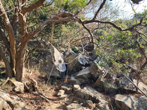 小百岳No.80⛰里龍山2776321