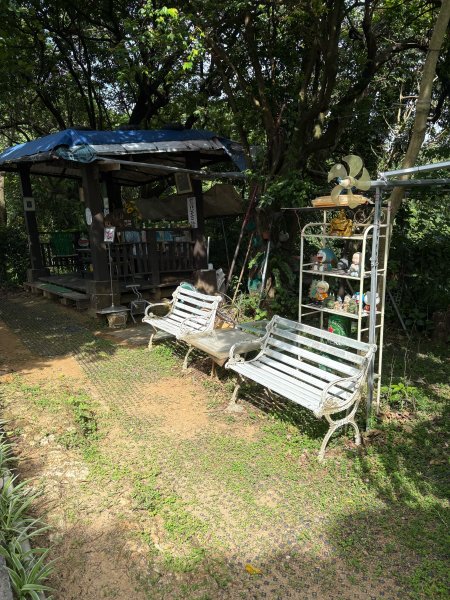 微笑山線：烘爐地3095079