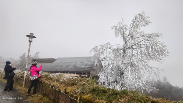 #霧淞 #雲海 #雲瀑 #霧虹 #太平山 #望洋山 #觀雲步道 #翠峰道路  2/82995375